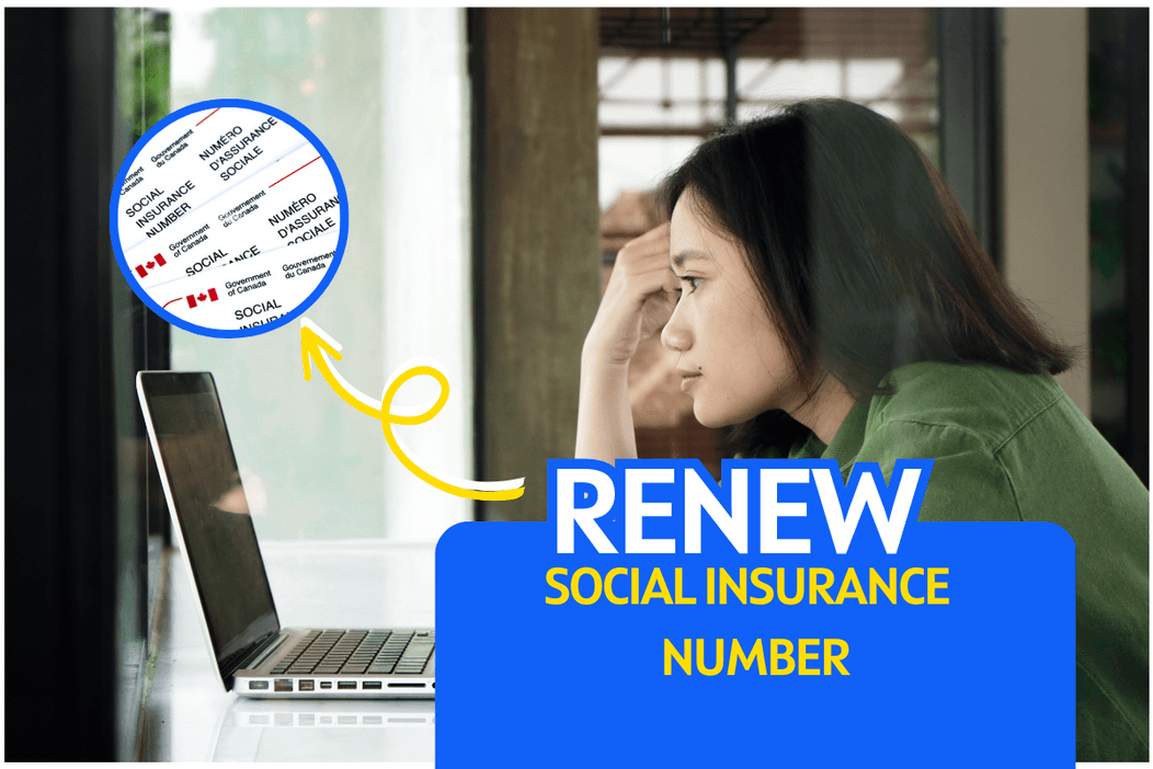 Cover image for article on how to renew your social insurance number (sin)